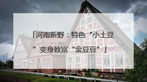 河南新野：特色“小土豆”变身致富“金豆豆”