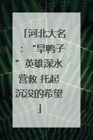 河北大名：“旱鸭子”英雄深水营救 托起沉没的希望