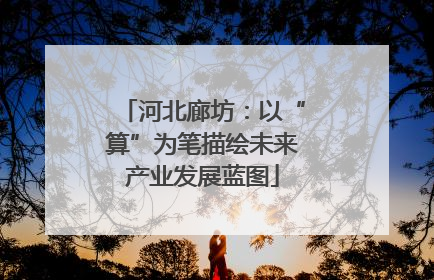 河北廊坊：以“算”为笔描绘未来产业发展蓝图