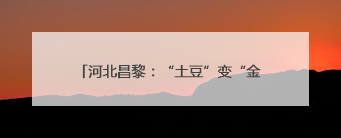 河北昌黎：“土豆”变“金豆” 马铃薯丰收采挖忙