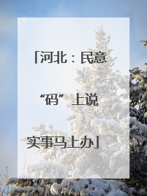 河北：民意“码”上说 实事马上办