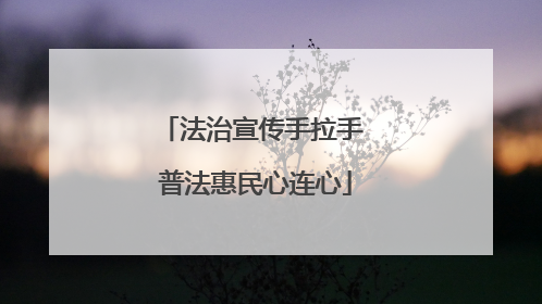 法治宣传手拉手 普法惠民心连心