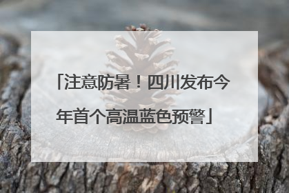 注意防暑！四川发布今年首个高温蓝色预警