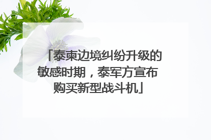 泰柬边境纠纷升级的敏感时期，泰军方宣布购买新型战斗机