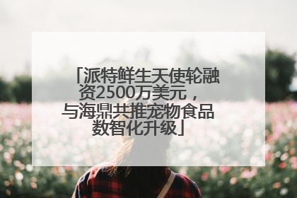 派特鲜生天使轮融资2500万美元，与海鼎共推宠物食品数智化升级