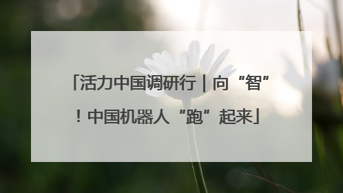 活力中国调研行｜向“智”！中国机器人“跑”起来