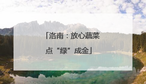 洛南：放心蔬菜点“绿”成金