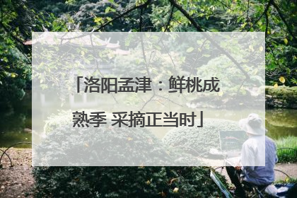 洛阳孟津：鲜桃成熟季 采摘正当时