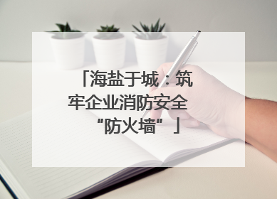 海盐于城：筑牢企业消防安全“防火墙”