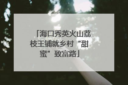 海口秀英火山荔枝王铺就乡村“甜蜜”致富路