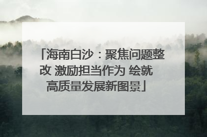 海南白沙：聚焦问题整改 激励担当作为 绘就高质量发展新图景