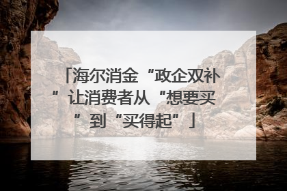 海尔消金“政企双补”让消费者从“想要买”到“买得起”