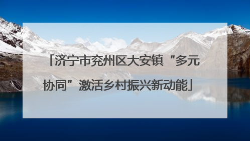 济宁市兖州区大安镇“多元协同”激活乡村振兴新动能