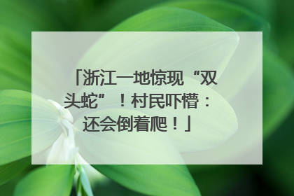 浙江一地惊现“双头蛇”！村民吓懵：还会倒着爬！