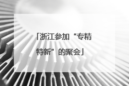 浙江参加“专精特新”的聚会