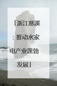 浙江慈溪：推动水家电产业蓬勃发展