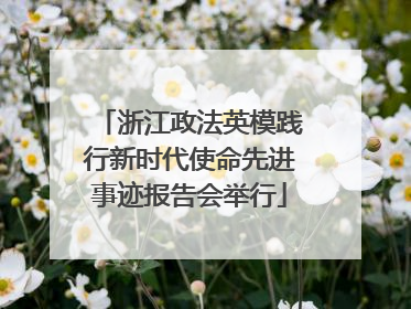 浙江政法英模践行新时代使命先进事迹报告会举行