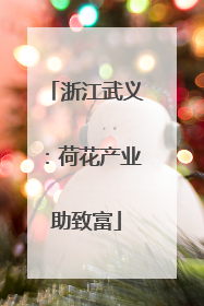 浙江武义：荷花产业助致富