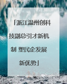 浙江温州创科技副总引才新机制 塑民企发展新优势