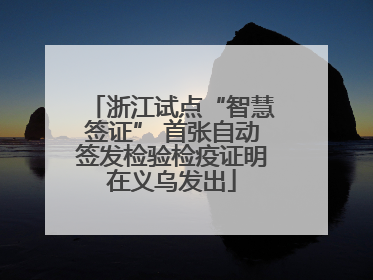 浙江试点“智慧签证” 首张自动签发检验检疫证明在义乌发出