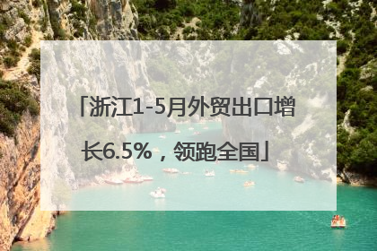浙江1-5月外贸出口增长6.5%，领跑全国