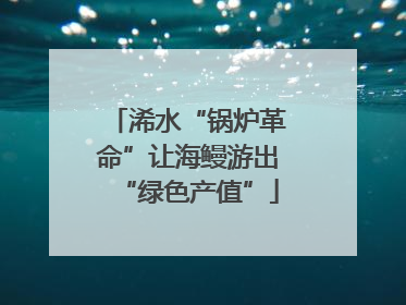 浠水“锅炉革命”让海鳗游出“绿色产值”
