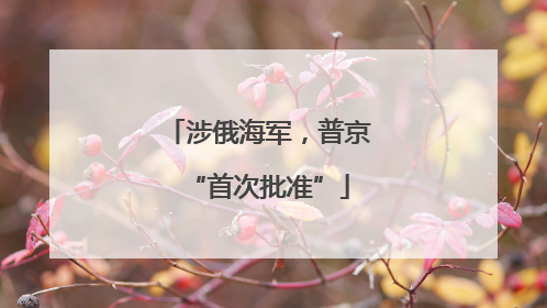 涉俄海军，普京“首次批准”