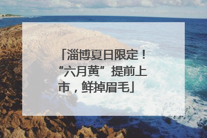 淄博夏日限定！“六月黄”提前上市，鲜掉眉毛