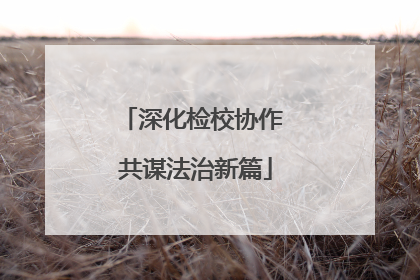 深化检校协作 共谋法治新篇