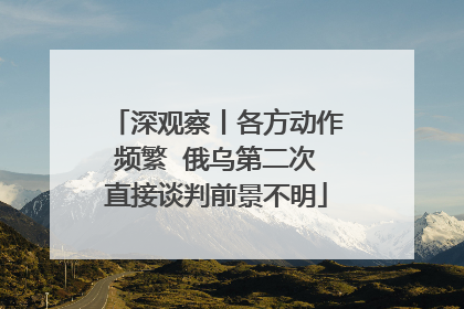 深观察丨各方动作频繁  俄乌第二次直接谈判前景不明