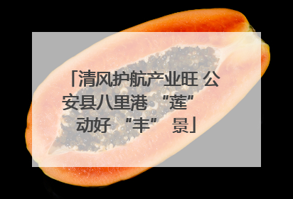 清风护航产业旺 公安县八里港 “莲” 动好 “丰” 景