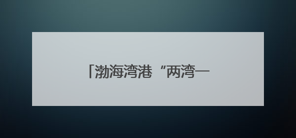 渤海湾港“两湾一航”供应链服务北上通道稳定运营