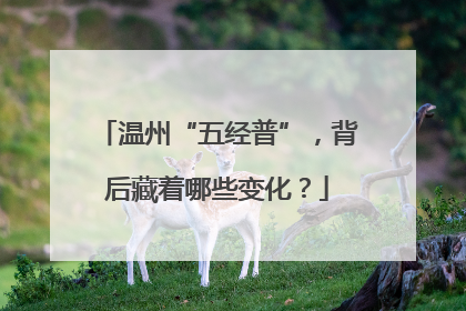 温州“五经普”，背后藏着哪些变化？