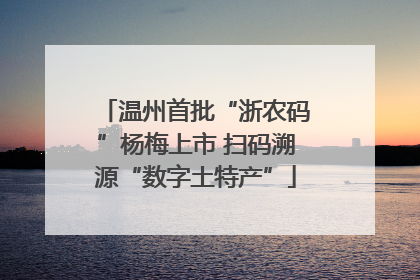 温州首批“浙农码”杨梅上市 扫码溯源“数字土特产”