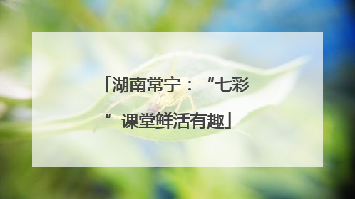 湖南常宁：“七彩”课堂鲜活有趣