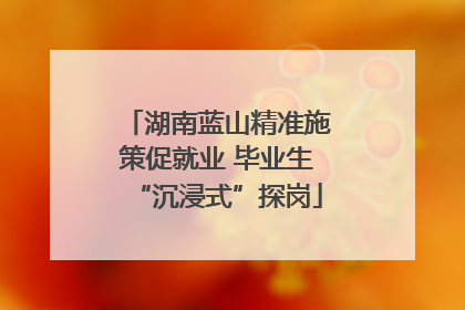 湖南蓝山精准施策促就业 毕业生“沉浸式”探岗