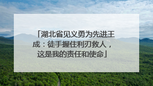湖北省见义勇为先进王成：徒手握住利刃救人，这是我的责任和使命
