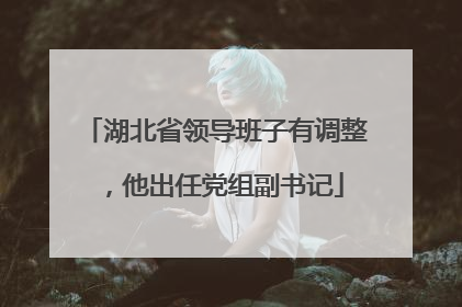 湖北省领导班子有调整，他出任党组副书记