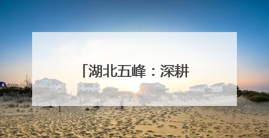 湖北五峰：深耕“茶乡警务” 守护春茶经济