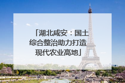 湖北咸安：国土综合整治助力打造现代农业高地