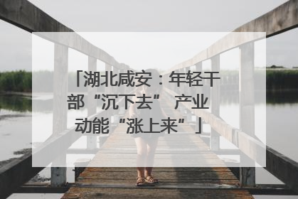 湖北咸安：年轻干部“沉下去” 产业动能“涨上来”