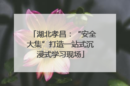 湖北孝昌：“安全大集”打造一站式沉浸式学习现场