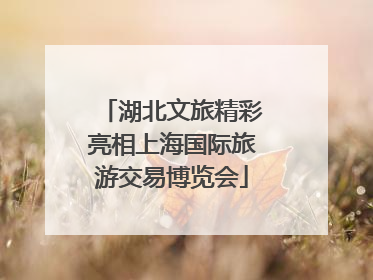 湖北文旅精彩亮相上海国际旅游交易博览会