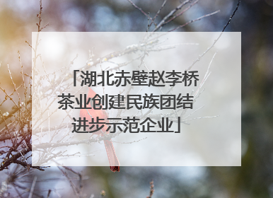 湖北赤壁赵李桥茶业创建民族团结进步示范企业