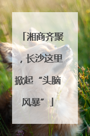 湘商齐聚，长沙这里掀起“头脑风暴”