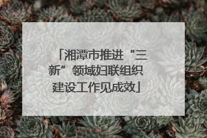 湘潭市推进“三新”领域妇联组织建设工作见成效