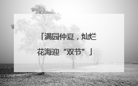 满园仲夏，灿烂花海迎“双节”