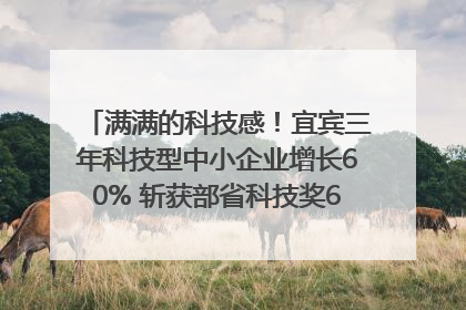 满满的科技感！宜宾三年科技型中小企业增长60% 斩获部省科技奖6项｜您牵挂的四川