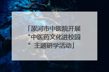 漯河市中医院开展“中医药文化进校园”主题研学活动
