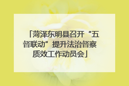 菏泽东明县召开“五督联动”提升法治督察质效工作动员会